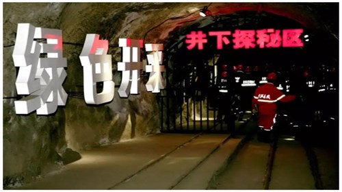 井下探秘/云崗石窟/直通車一日游