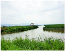 龍峽9
