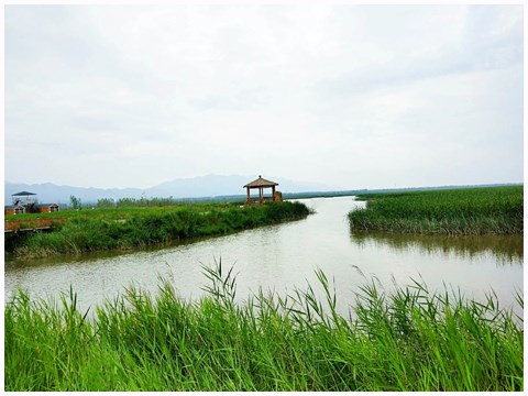龍峽9