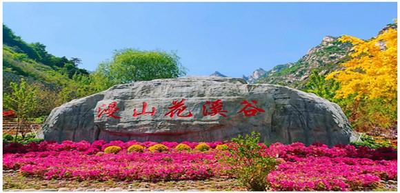 圖片描述