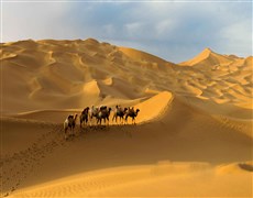 新疆之旅，愛上著遼闊無際大沙漠